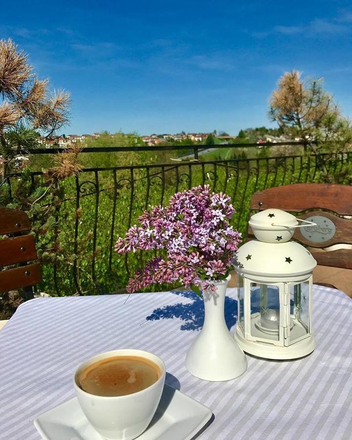 Gosciniec I Restauracja Salton *